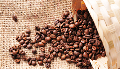 おいしいコーヒー作りには欠かせないコーヒー豆の3つの鉄則